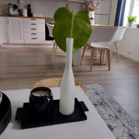 Light Home Apartment Alesund With Free Parking Exterior photo